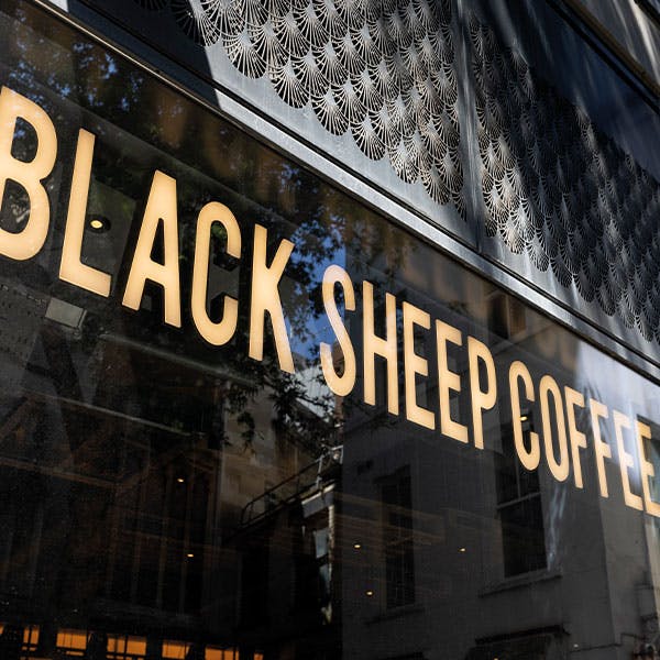 SBlack Sheep Coffee
